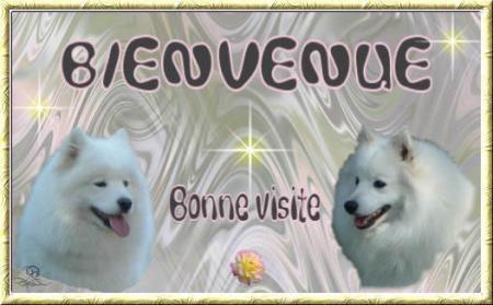BIENVENUE SUR MY BLOG